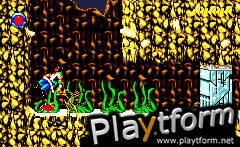 Blackthorne (Game Boy Advance)