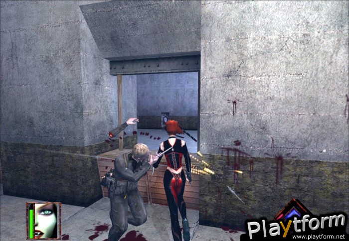 BloodRayne (PC)
