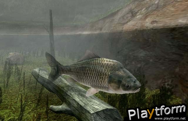 Reel Fishing III (PlayStation 2)