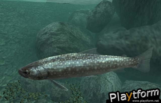 Reel Fishing III (PlayStation 2)