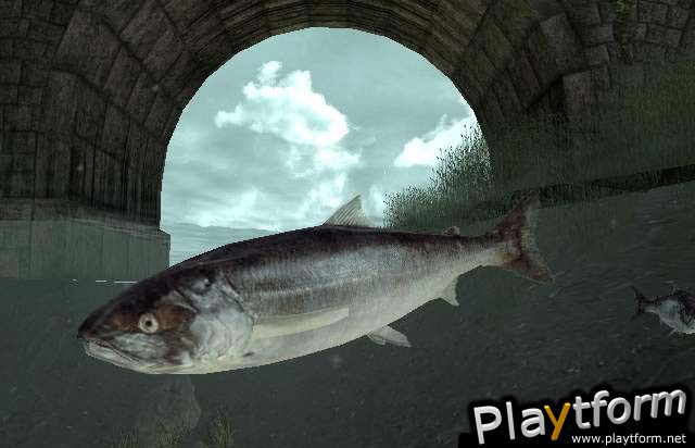 Reel Fishing III (PlayStation 2)