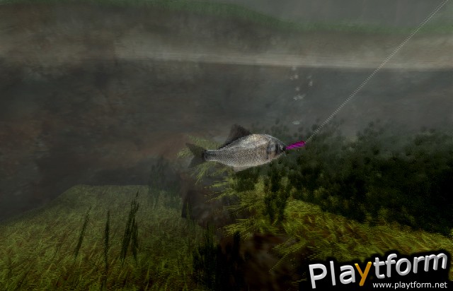 Reel Fishing III (PlayStation 2)