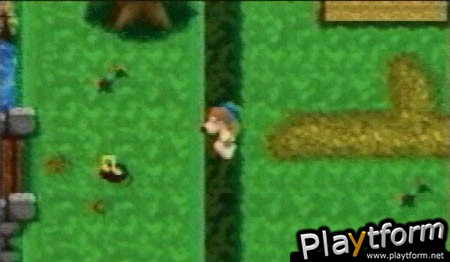 Banjo-Kazooie: Grunty's Revenge (Game Boy Advance)