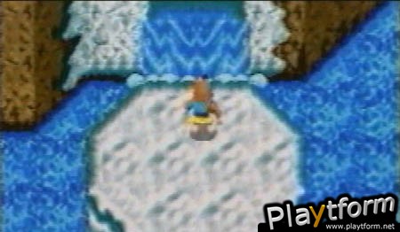 Banjo-Kazooie: Grunty's Revenge (Game Boy Advance)