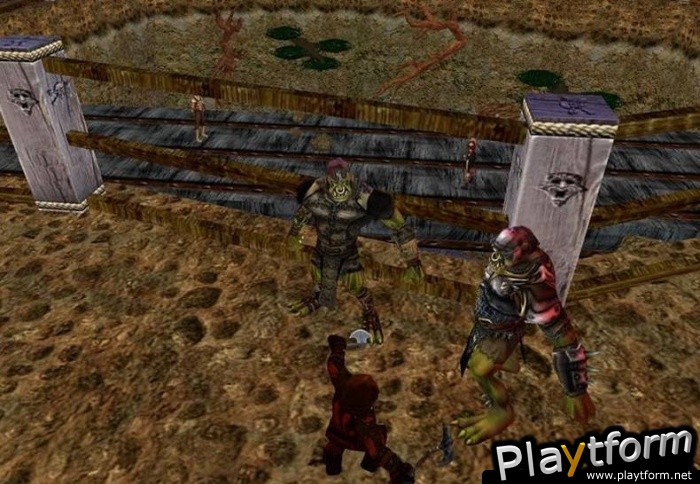 EverQuest: Lost Dungeons of Norrath (PC)