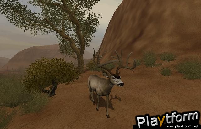 Cabela's Deer Hunt: 2004 Season (PlayStation 2)