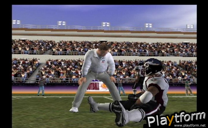 Madden NFL 2004 (PlayStation 2)