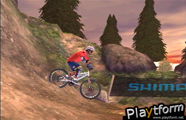 Downhill Domination (PlayStation 2)