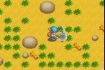 Harvest Moon: Friends of Mineral Town (Game Boy Advance)