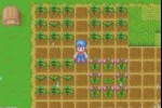 Harvest Moon: Friends of Mineral Town (Game Boy Advance)
