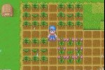 Harvest Moon: Friends of Mineral Town (Game Boy Advance)