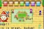 Harvest Moon: Friends of Mineral Town (Game Boy Advance)