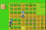 Harvest Moon: Friends of Mineral Town (Game Boy Advance)