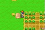 Harvest Moon: Friends of Mineral Town (Game Boy Advance)