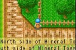 Harvest Moon: Friends of Mineral Town (Game Boy Advance)