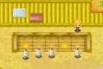 Harvest Moon: Friends of Mineral Town (Game Boy Advance)