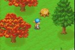 Harvest Moon: Friends of Mineral Town (Game Boy Advance)