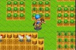 Harvest Moon: Friends of Mineral Town (Game Boy Advance)