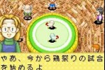 Harvest Moon: Friends of Mineral Town (Game Boy Advance)