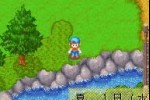 Harvest Moon: Friends of Mineral Town (Game Boy Advance)