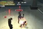 Batman: Rise of Sin Tzu (GameCube)