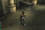 Legacy of Kain: Defiance (Xbox)