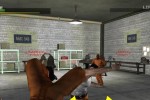 Dead to Rights (PC)