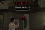 Dead to Rights (PC)