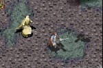 The Lord of the Rings: The Return of the King (Game Boy Advance)
