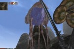 The Elder Scrolls III: Morrowind Game of the Year Edition (Xbox)