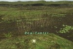 Final Fantasy XI (PC)