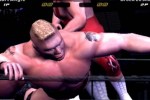 WWE SmackDown! Here Comes the Pain (PlayStation 2)