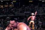 WWE SmackDown! Here Comes the Pain (PlayStation 2)