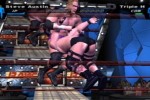 WWE SmackDown! Here Comes the Pain (PlayStation 2)