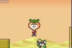 Super Mario Advance 4: Super Mario Bros. 3 (Game Boy Advance)