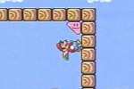 Super Mario Advance 4: Super Mario Bros. 3 (Game Boy Advance)