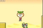 Super Mario Advance 4: Super Mario Bros. 3 (Game Boy Advance)