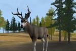 Deer Hunter 2004 (PC)