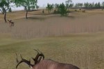 Deer Hunter 2004 (PC)