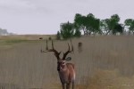 Deer Hunter 2004 (PC)