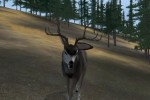 Deer Hunter 2004 (PC)