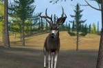 Deer Hunter 2004 (PC)