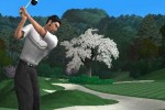 Tiger Woods PGA Tour 2004 (GameCube)