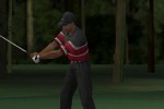 Tiger Woods PGA Tour 2004 (Xbox)