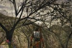 Dinosaur Hunting (Xbox)