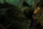Ring II: Twilight of Gods (PC)