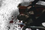 BloodRayne (PC)