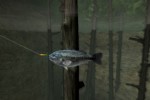 Reel Fishing III (PlayStation 2)