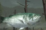 Reel Fishing III (PlayStation 2)