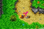 Banjo-Kazooie: Grunty's Revenge (Game Boy Advance)